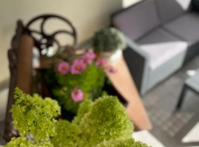 아파트 Kamrath Altstadt Von *